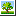 照片
